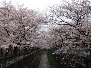 IMG_8782
